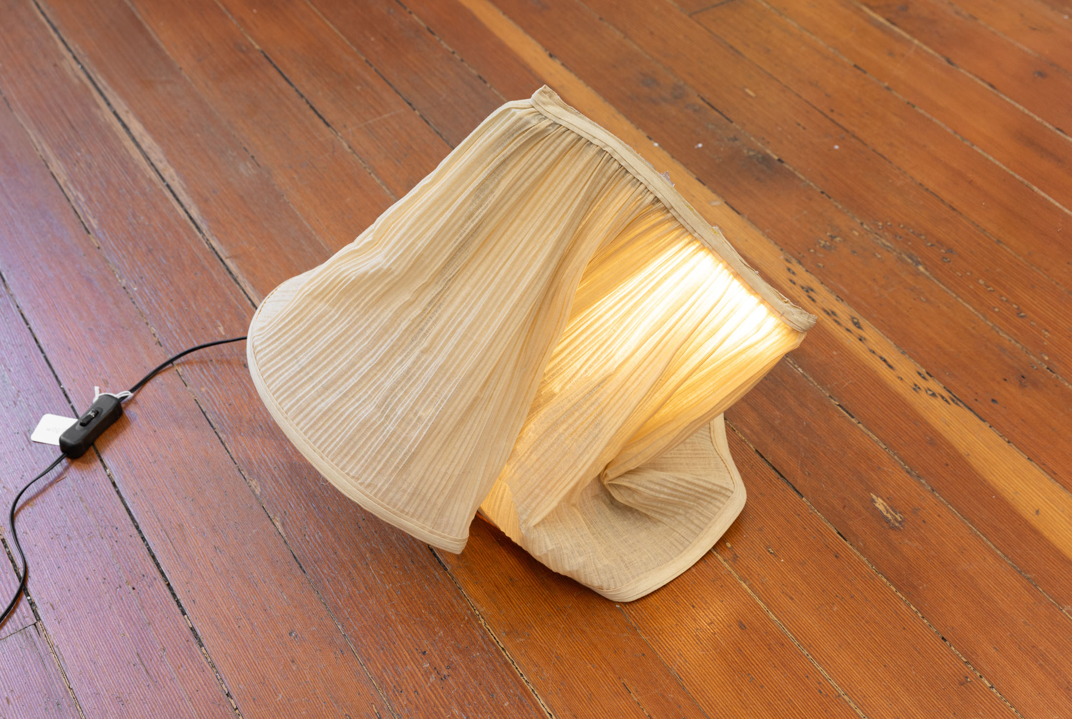 Lydia rosenberg at society, portland 30