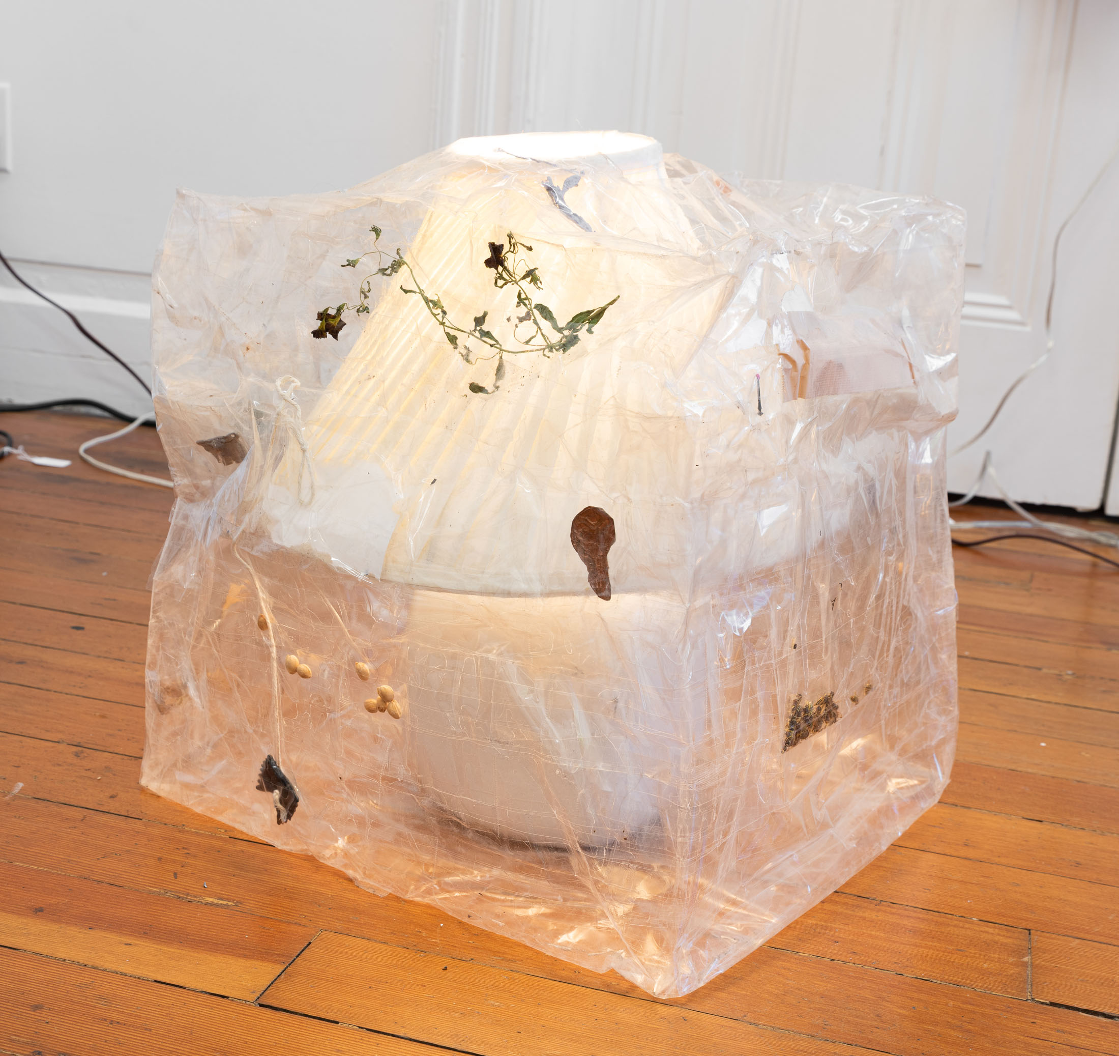 Lydia rosenberg at society, portland 7