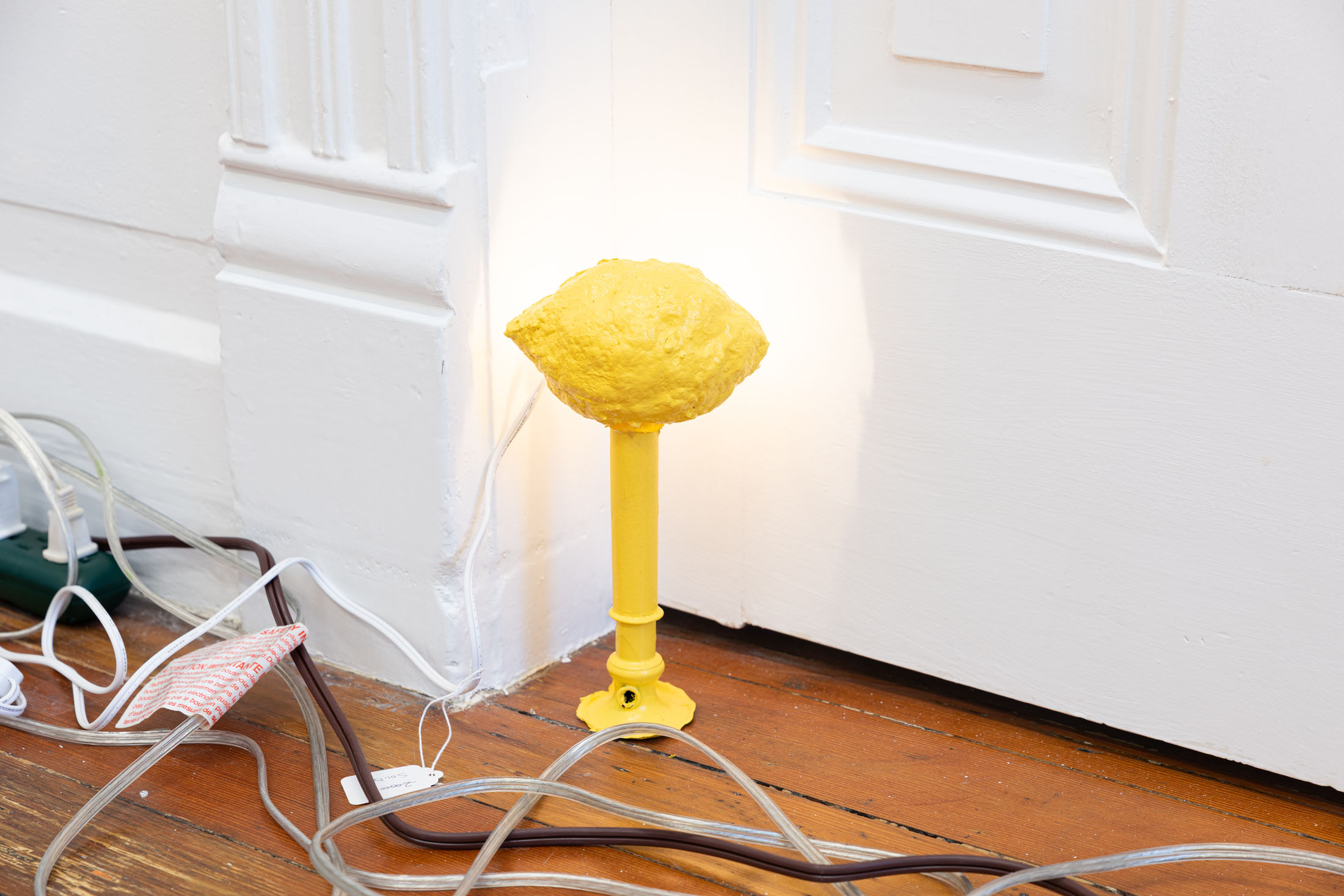 Lydia rosenberg at society, portland 9