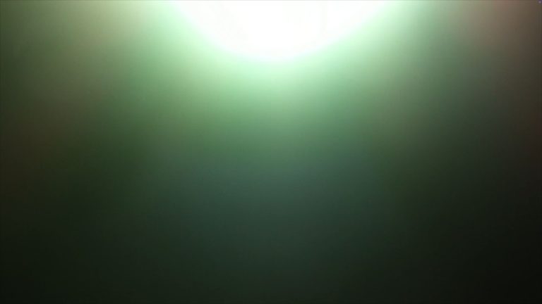 Steve bishop by the boundary, 2016 8