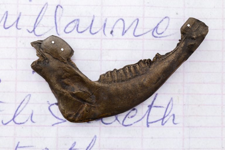 The poets leave hell and again behold the stars at cibrián, san sebastian 41