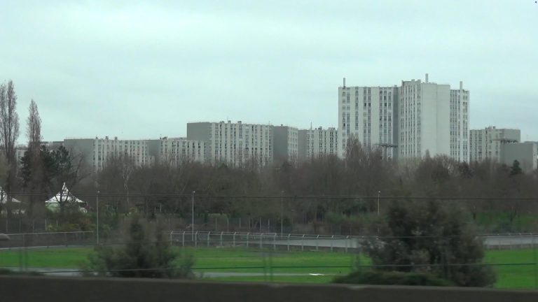 Camilla wills possession ring road, 2017 5