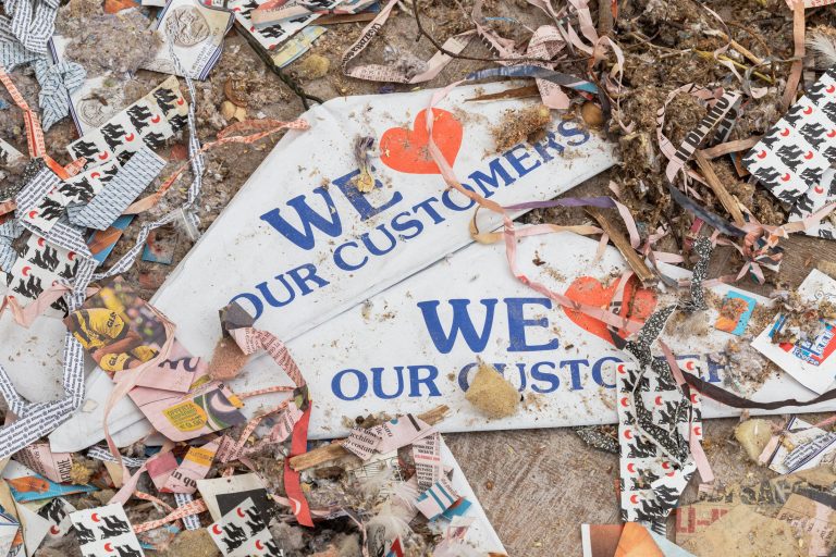 Fronts (c) at winona, brussels 12