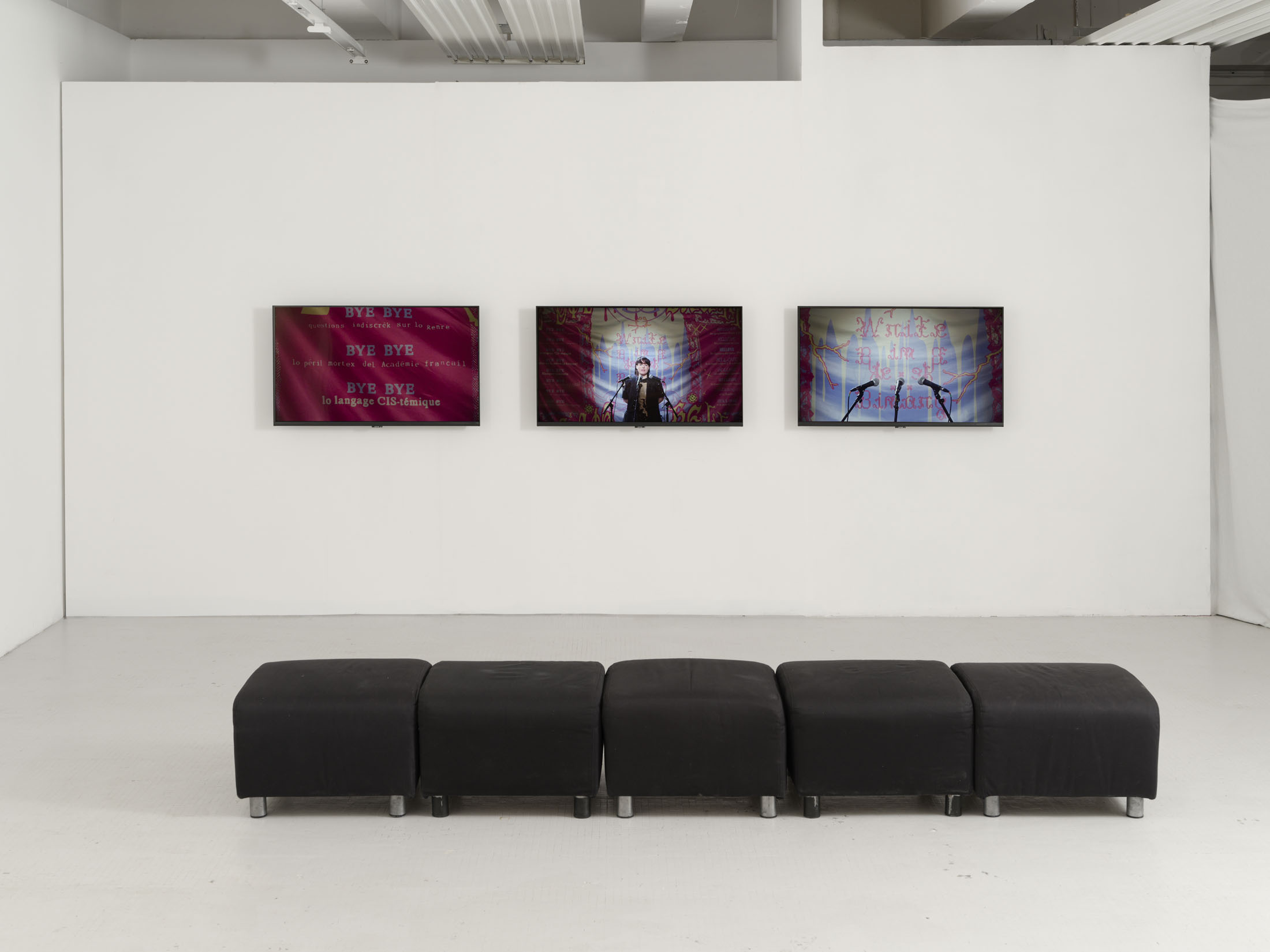 H·alix sanyas & bye bye binary at passerelle centre d’art contemporain 11