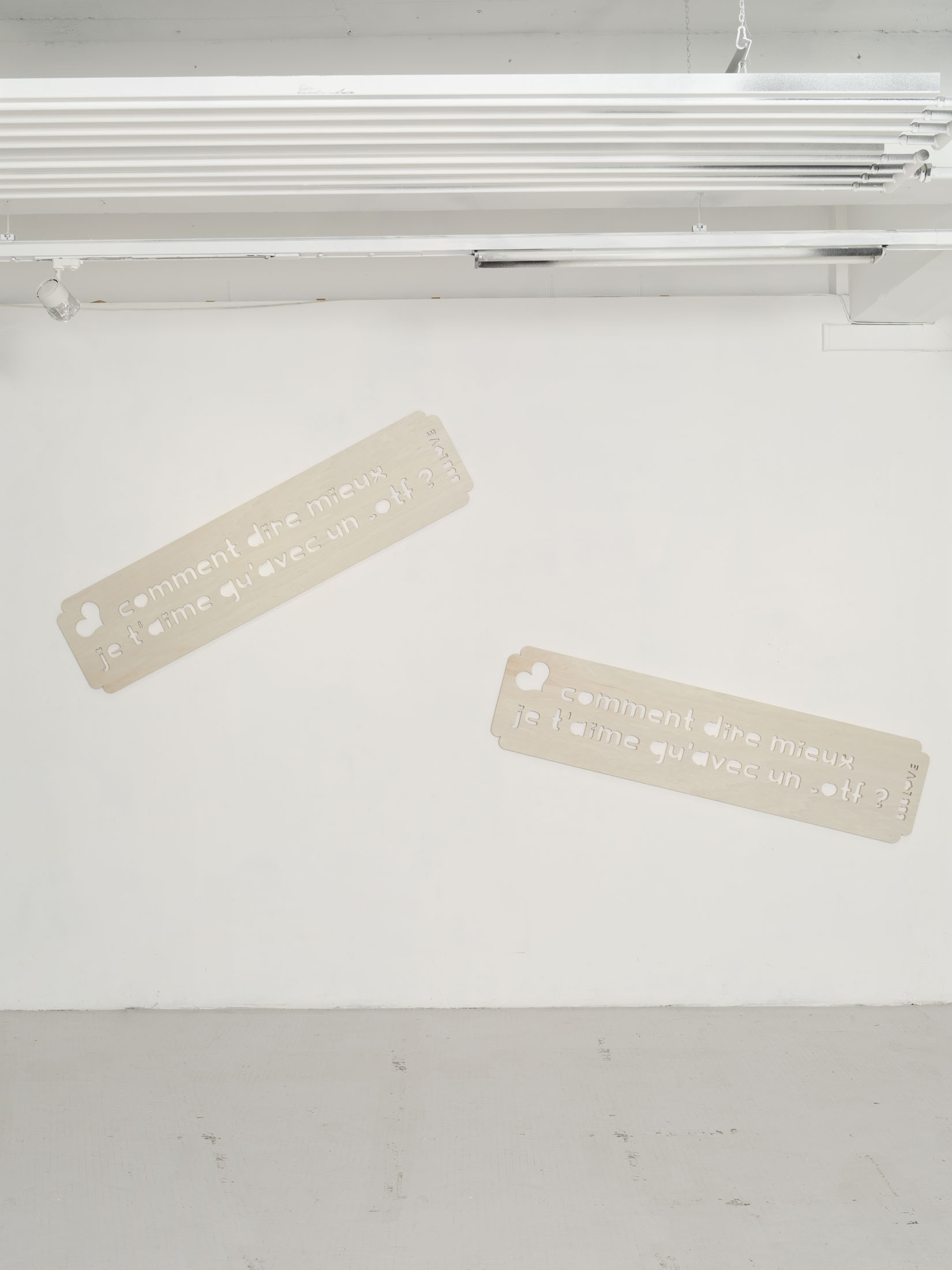 H·alix sanyas & bye bye binary at passerelle centre d’art contemporain 12