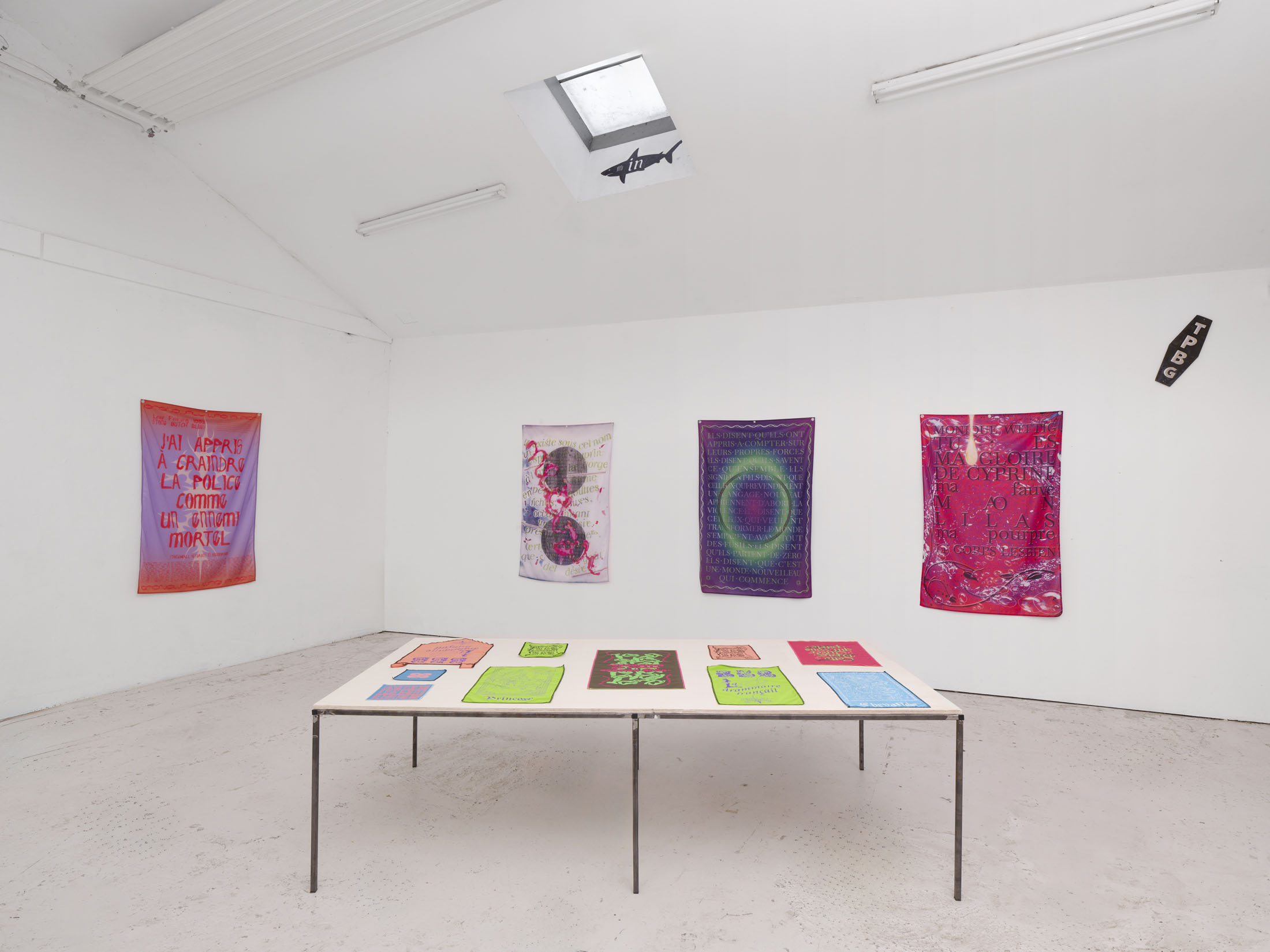 H·alix sanyas & bye bye binary at passerelle centre d’art contemporain 2