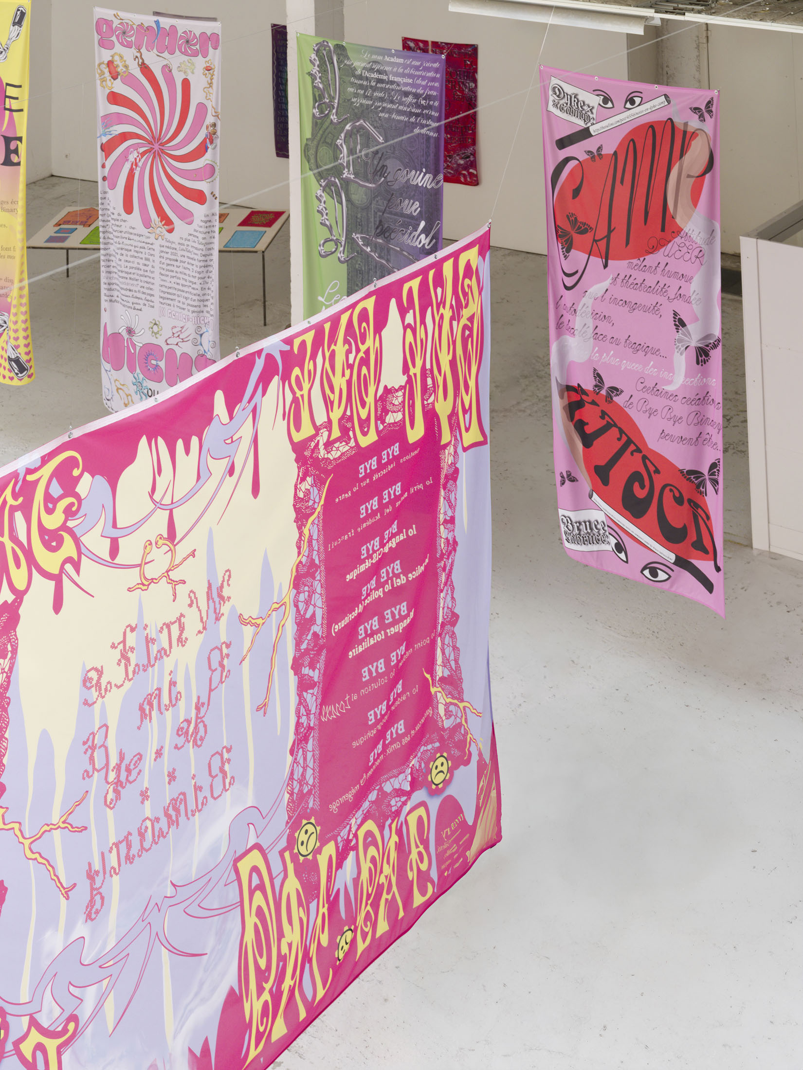 H·alix sanyas & bye bye binary at passerelle centre d’art contemporain 9