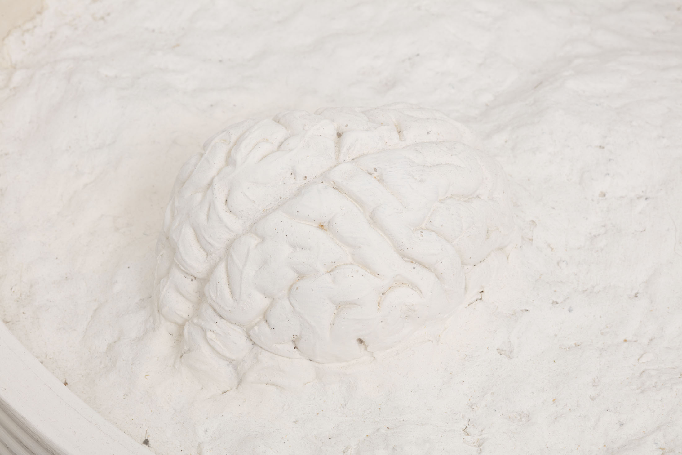 Personal politicks at gene's dispensary, los angeles 36