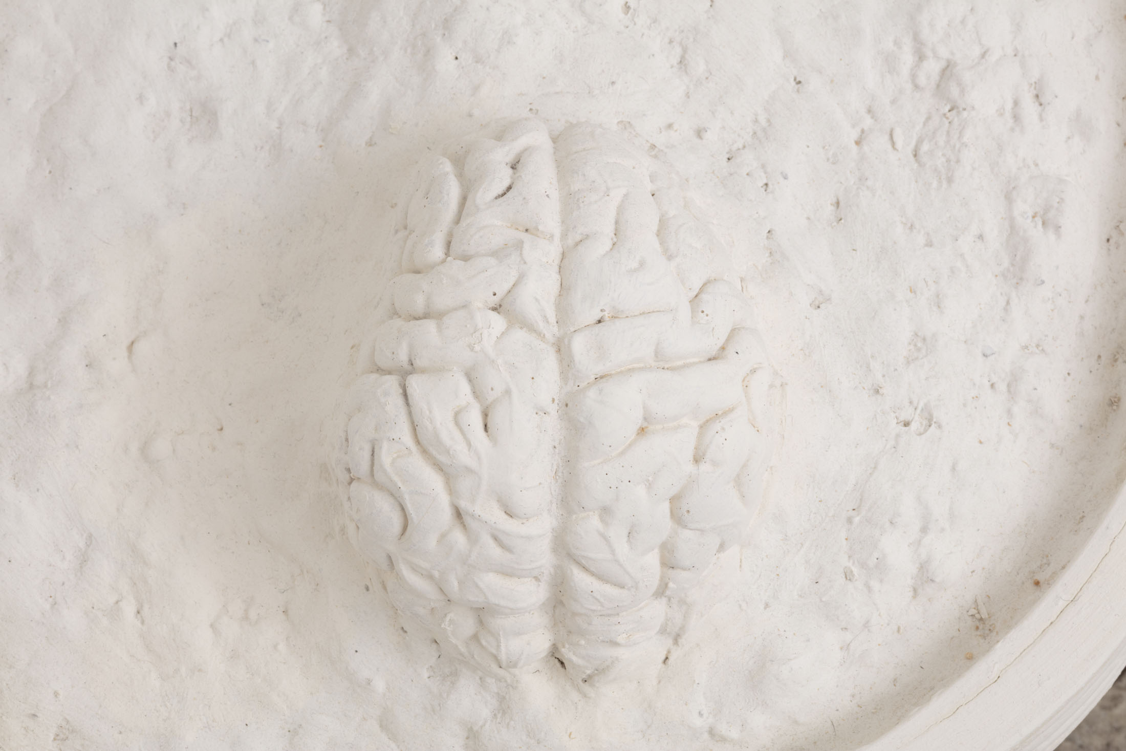 Personal politicks at gene's dispensary, los angeles 37