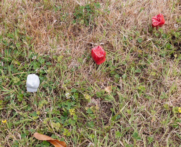 Publiek park at meise botanic garden 17