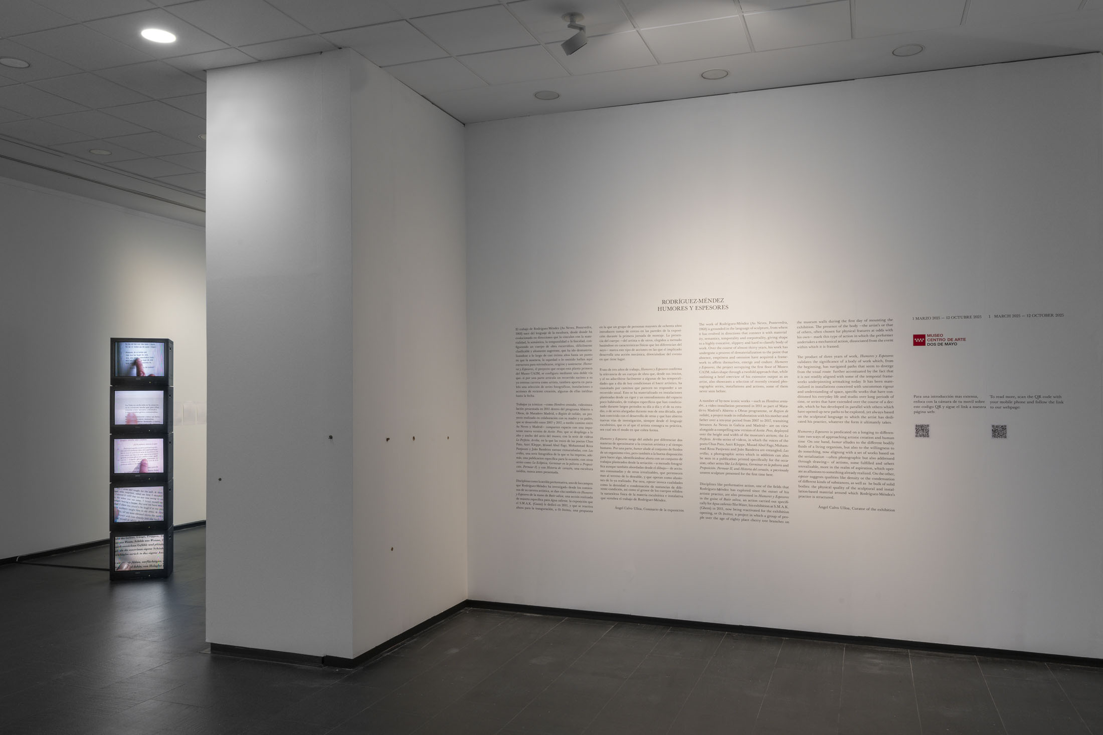 Rodríguez méndez at ca2m centro de arte dos de mayo, móstoles 1