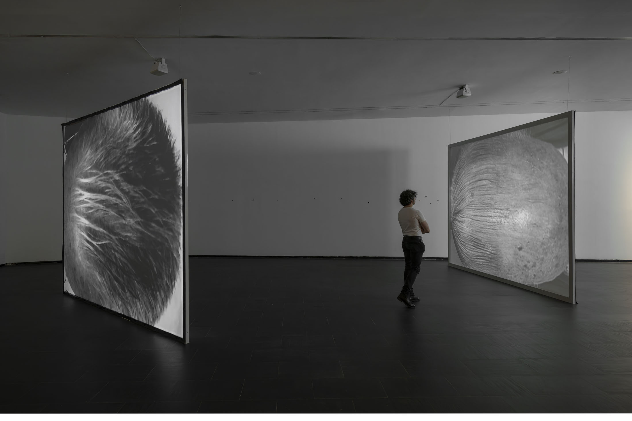 Rodríguez méndez at ca2m centro de arte dos de mayo, móstoles 12