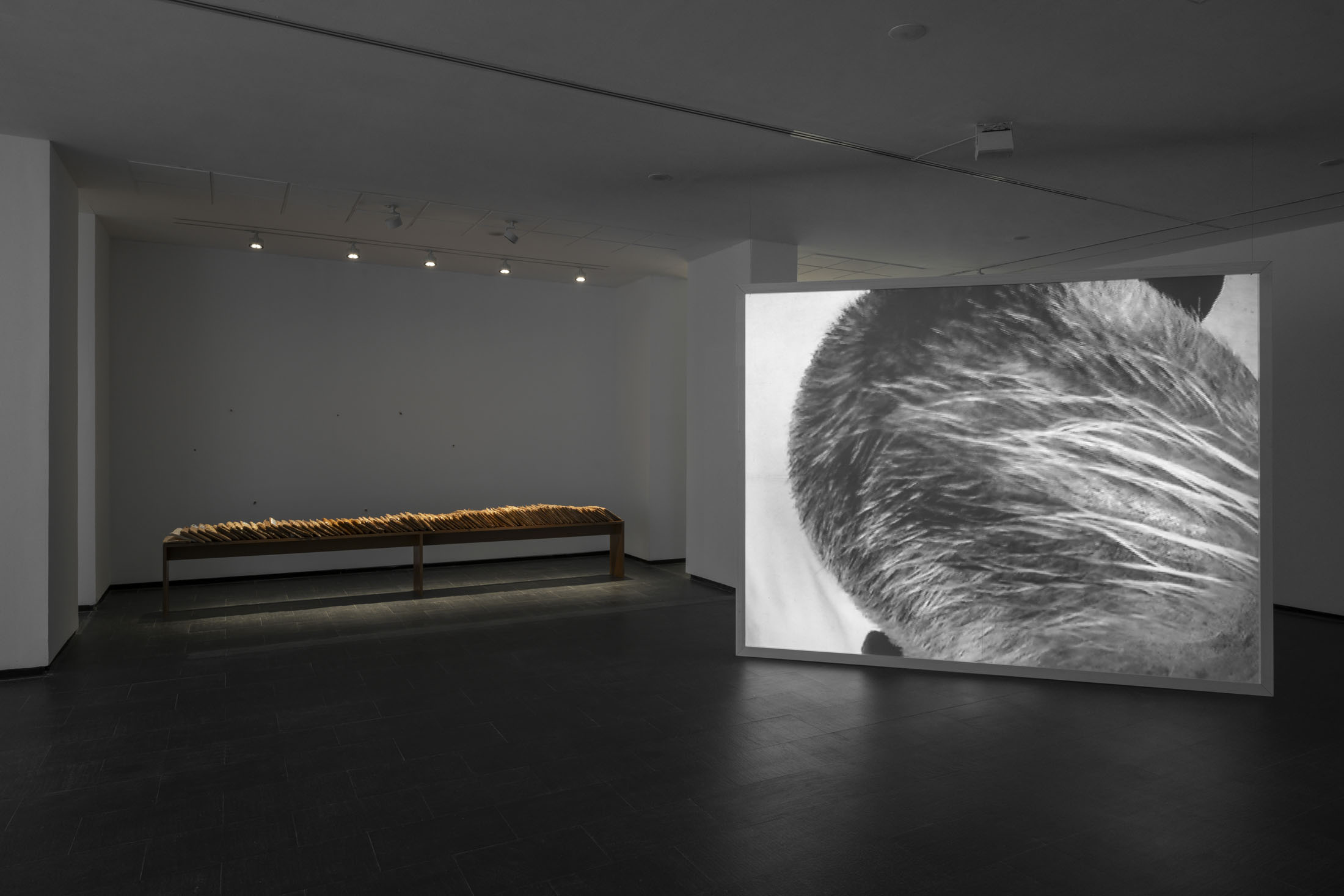 Rodríguez méndez at ca2m centro de arte dos de mayo, móstoles 14