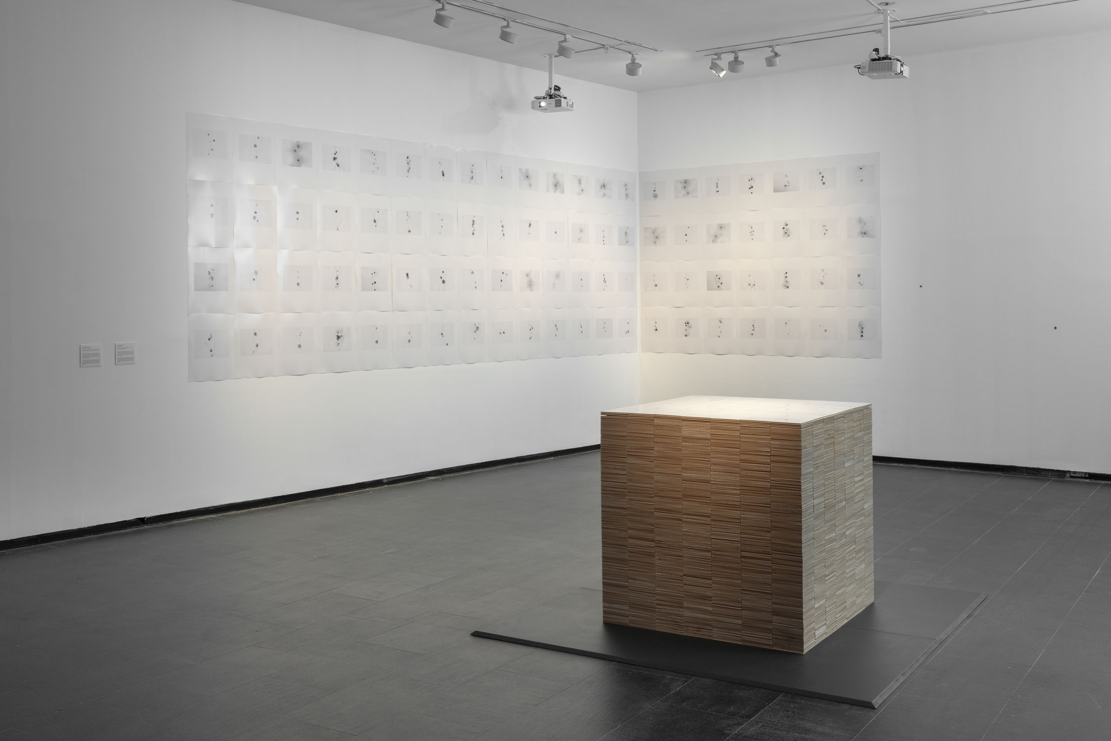 Rodríguez méndez at ca2m centro de arte dos de mayo, móstoles 22