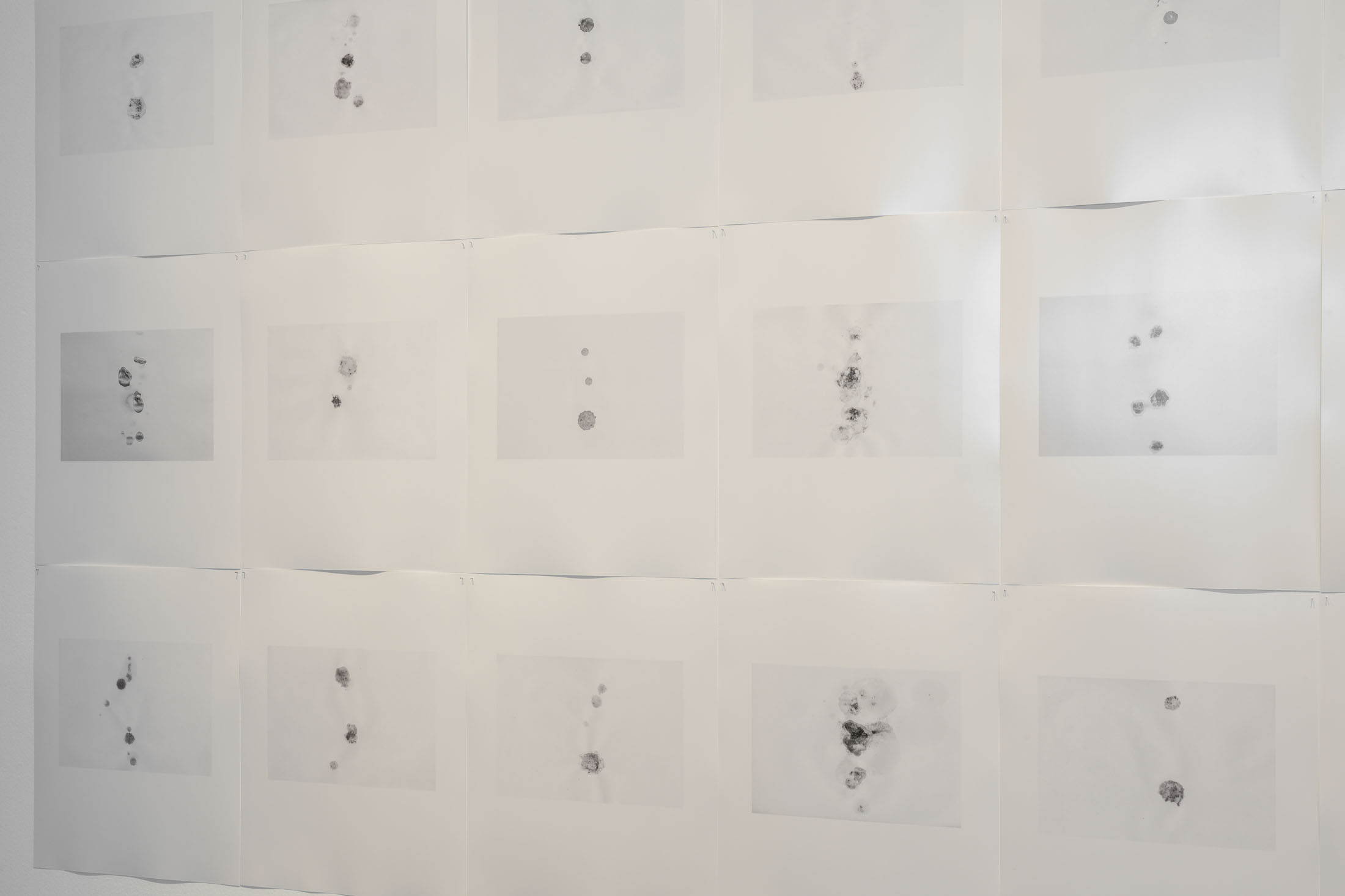 Rodríguez méndez at ca2m centro de arte dos de mayo, móstoles 24