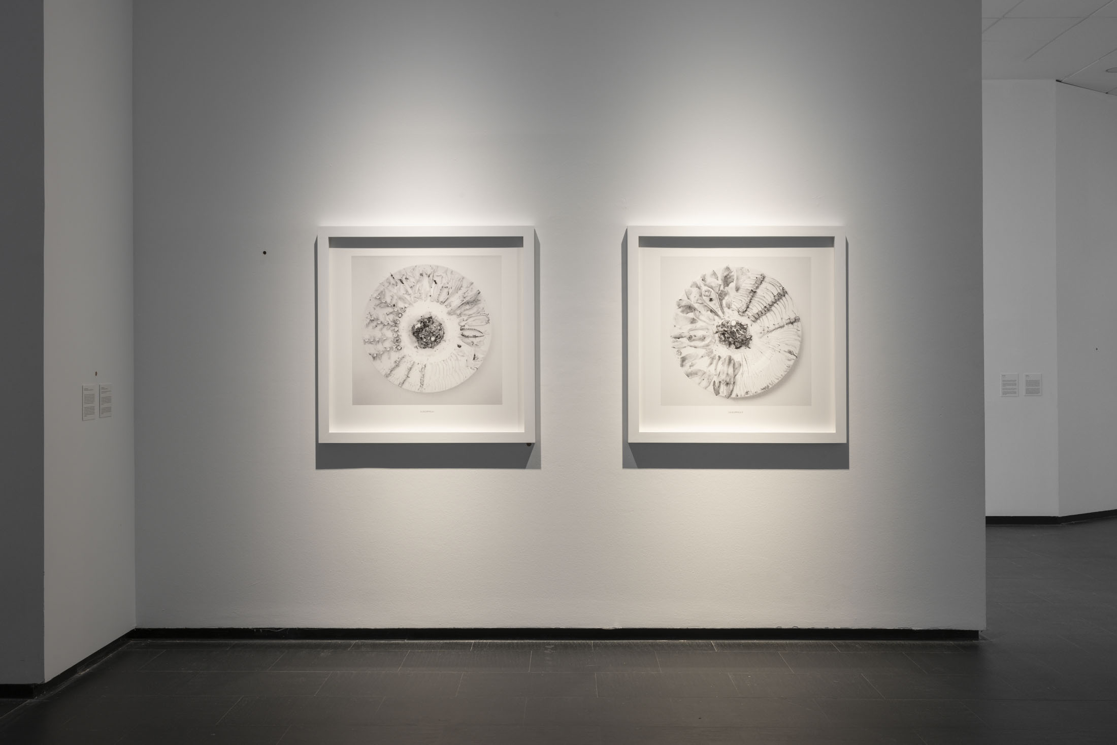 Rodríguez méndez at ca2m centro de arte dos de mayo, móstoles 26