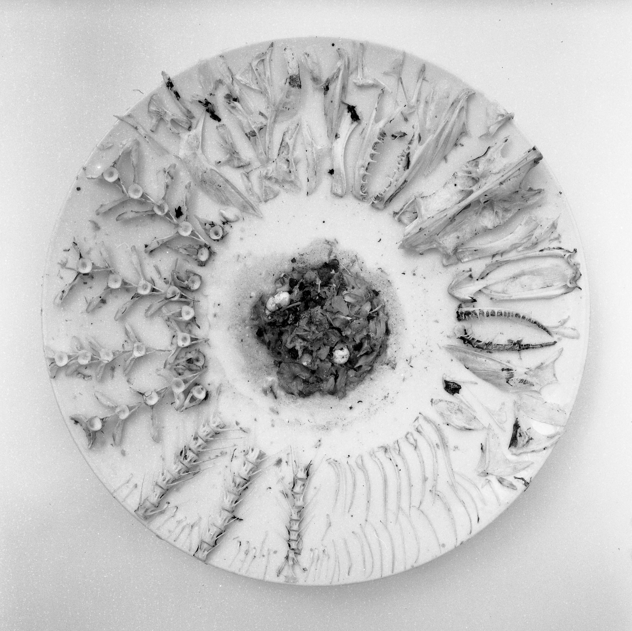 Rodríguez méndez at ca2m centro de arte dos de mayo, móstoles 27