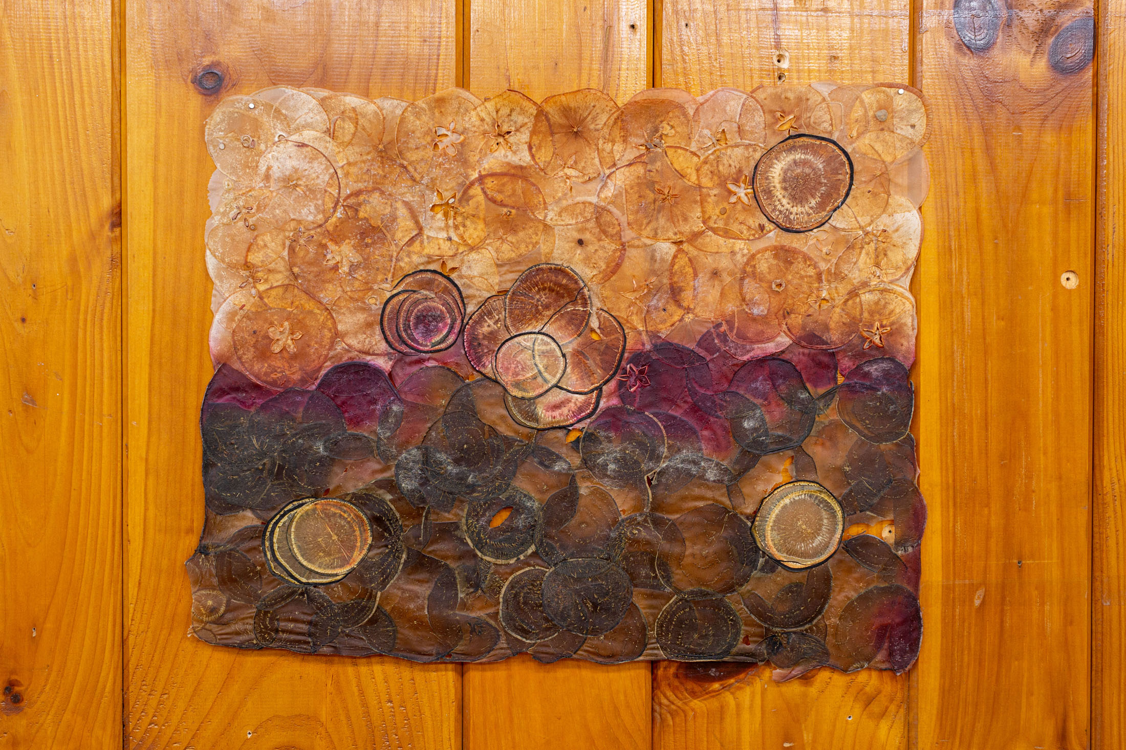 Ruby jackson at chatham soccer, chatham 12