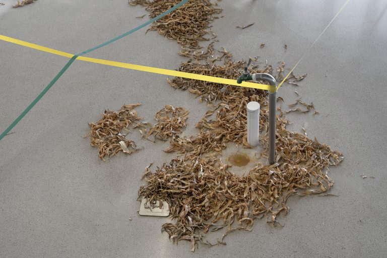 Yi xin tong at imagokinetics, hangzhou 71