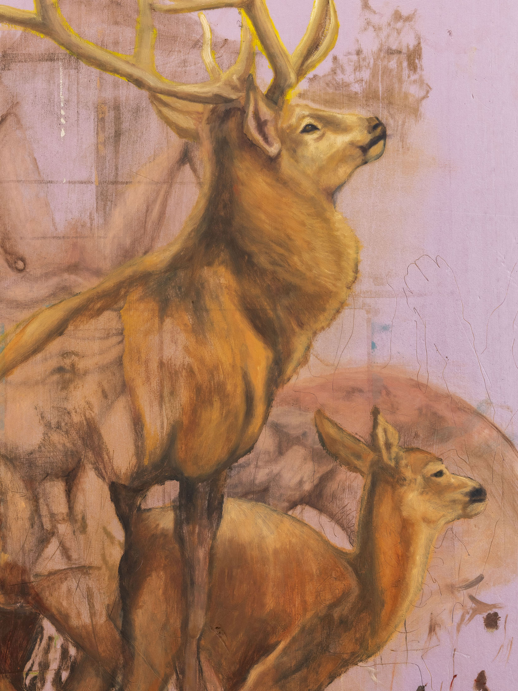 Creation point: destruction point at guadalajara90210, guadalajara 13