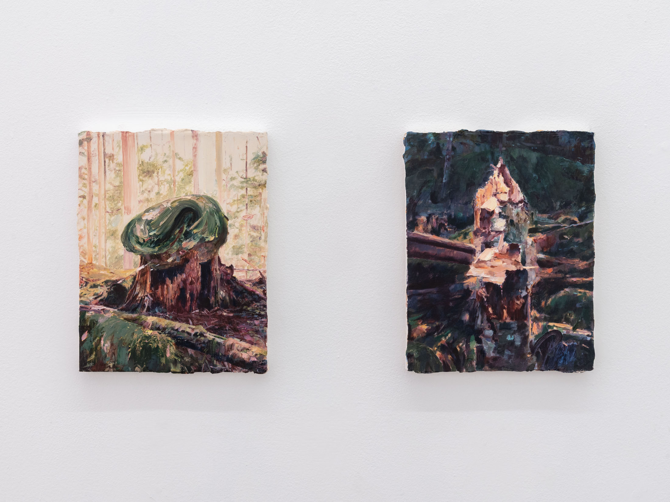 Creation point: destruction point at guadalajara90210, guadalajara 4