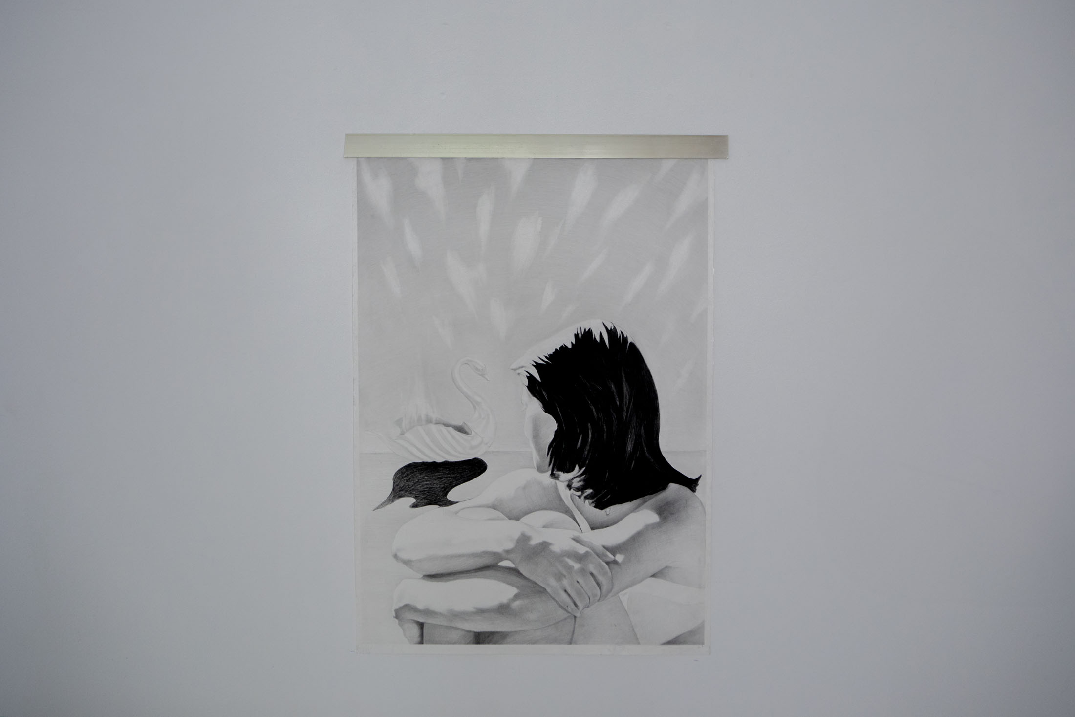 Ani toidze at window project, tbilisi 15