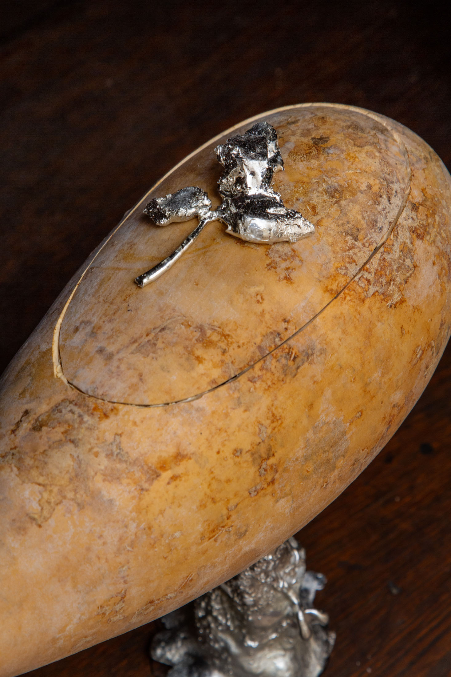 Jenna kaës at dispensaire jean v, musée dobrée, nantes 11