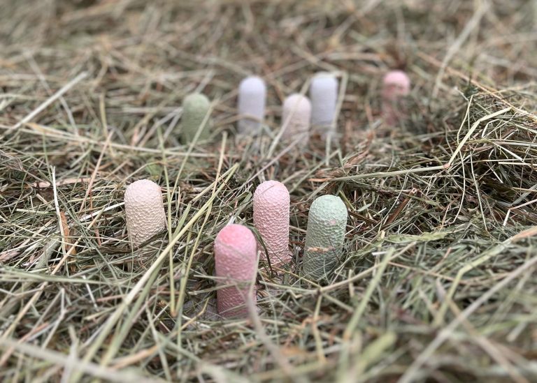 Leonora prugger at kunstverein kohlenhof, nuremberg cover