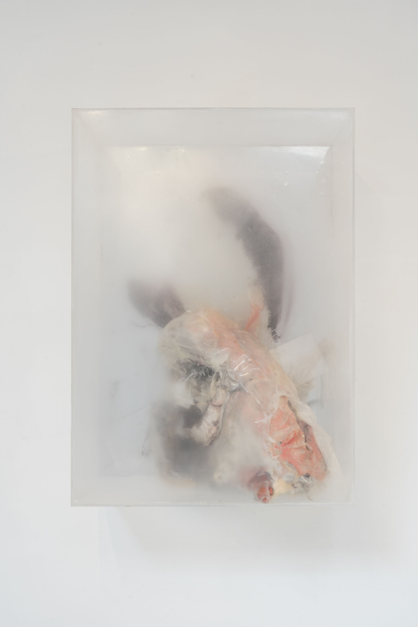 Wit boek at fred & ferry, antwerp 27