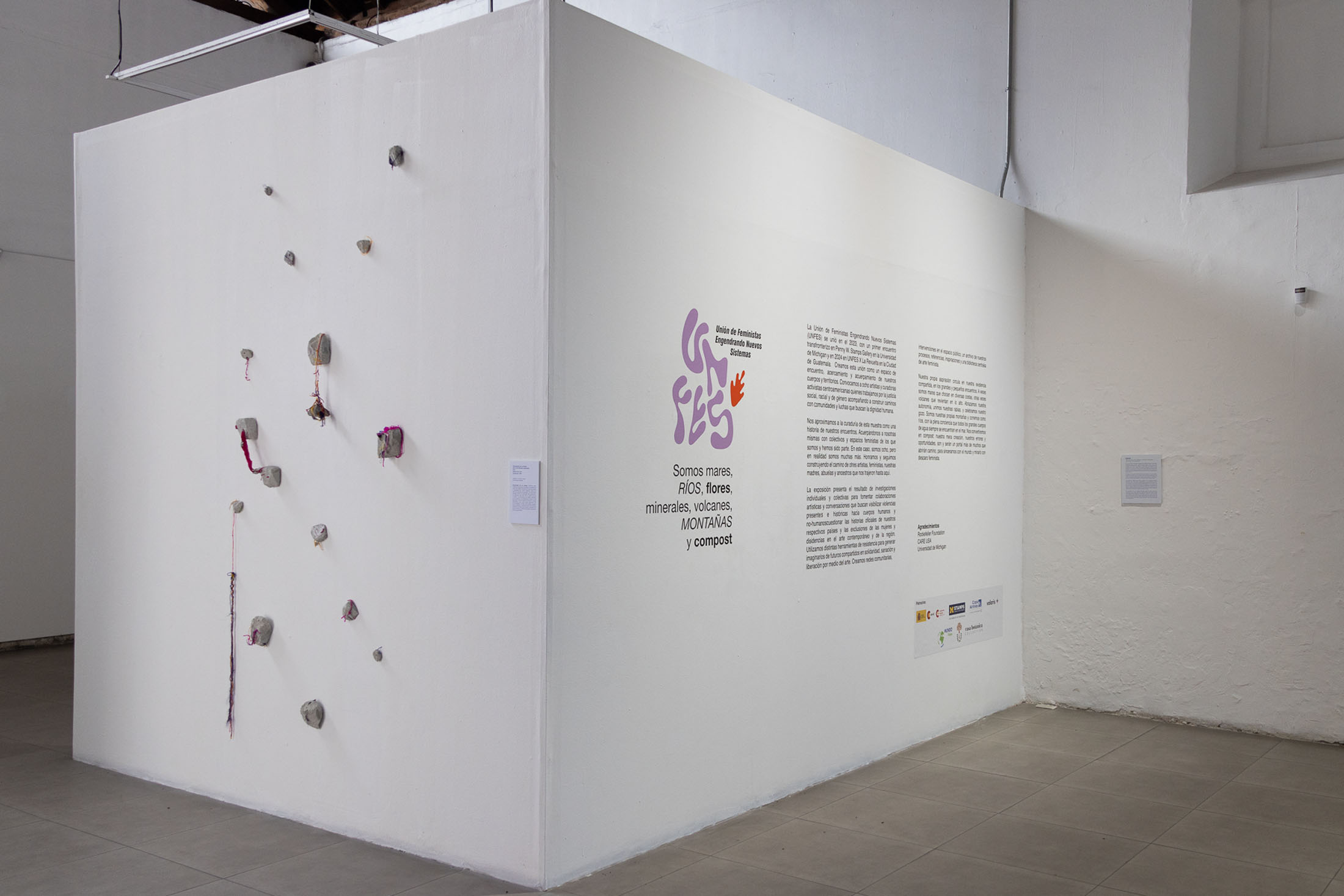 We are seas, rivers, flowers, minerals, volcanoes, mountains, and compost at museum of contemporary art and design of costa rica 1