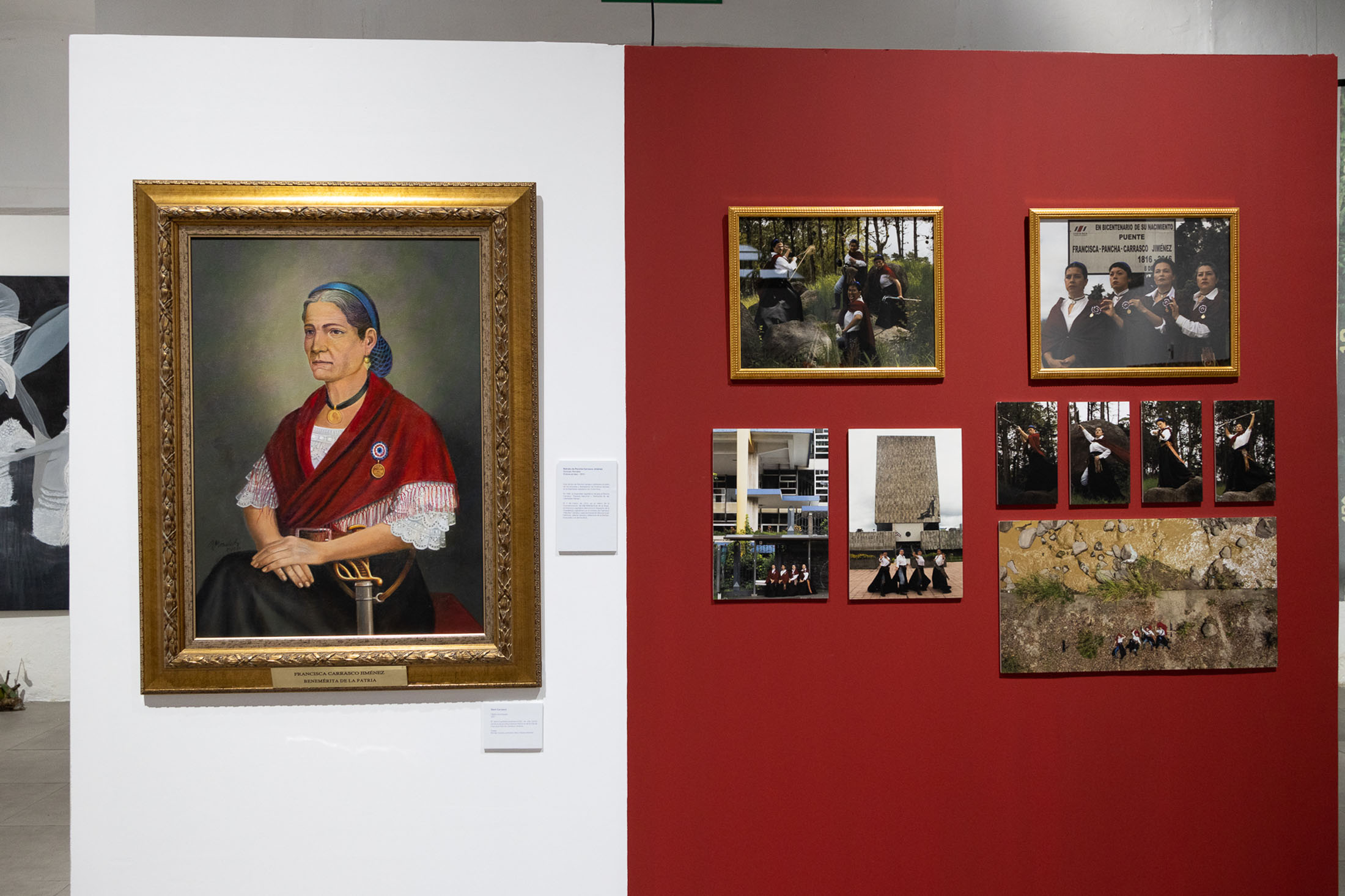 We are seas, rivers, flowers, minerals, volcanoes, mountains, and compost at museum of contemporary art and design of costa rica 10