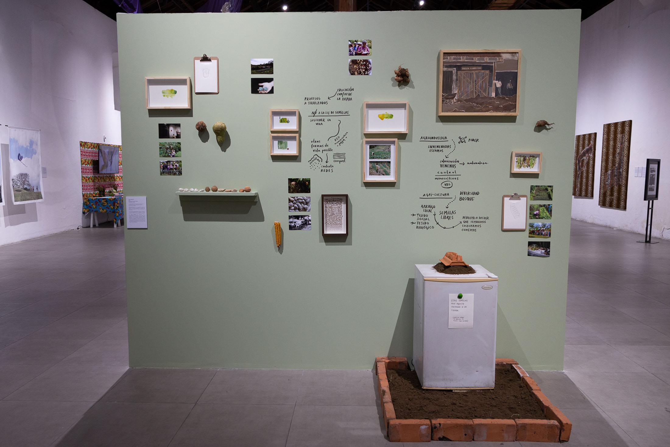 We are seas, rivers, flowers, minerals, volcanoes, mountains, and compost at museum of contemporary art and design of costa rica 11