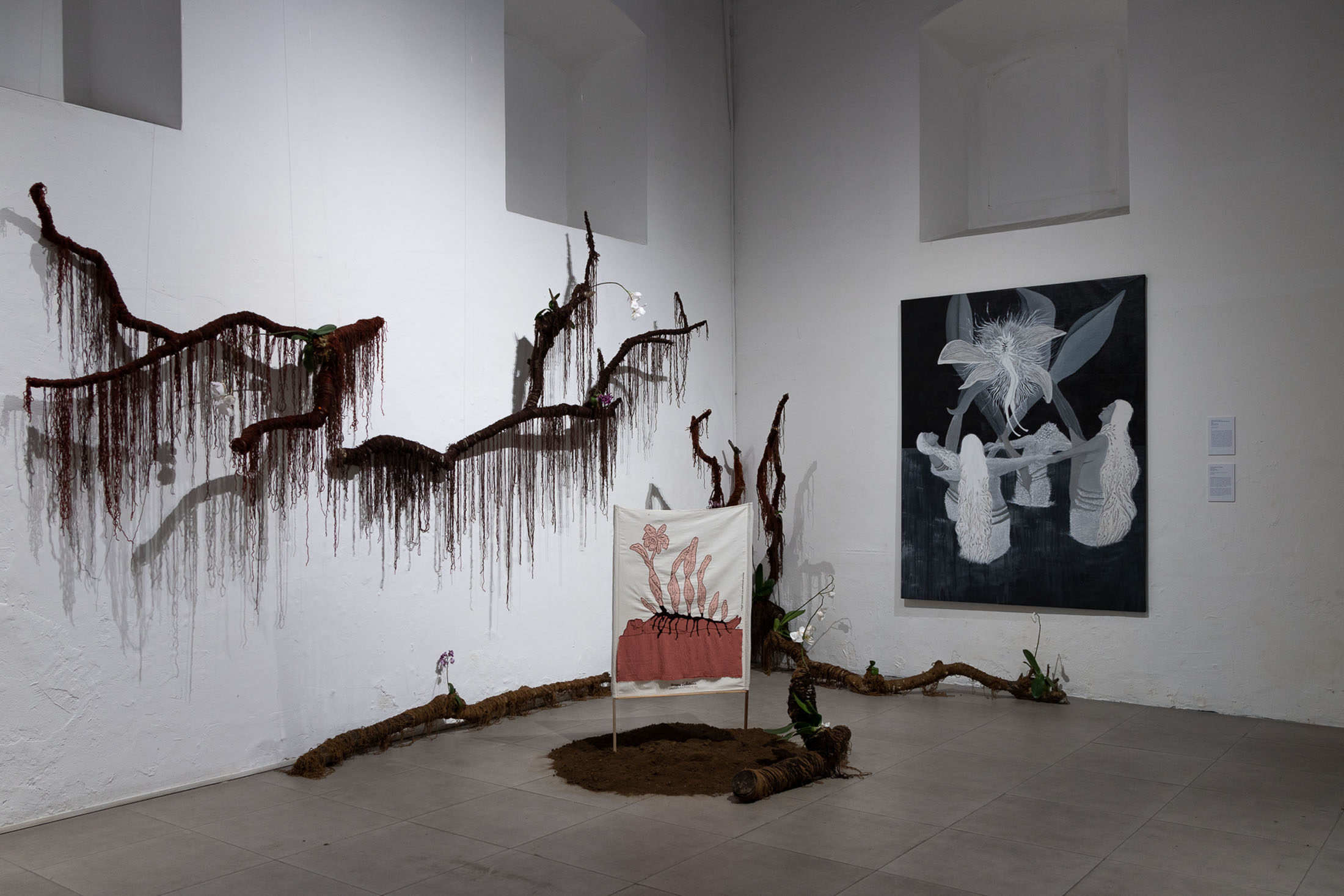 We are seas, rivers, flowers, minerals, volcanoes, mountains, and compost at museum of contemporary art and design of costa rica 12