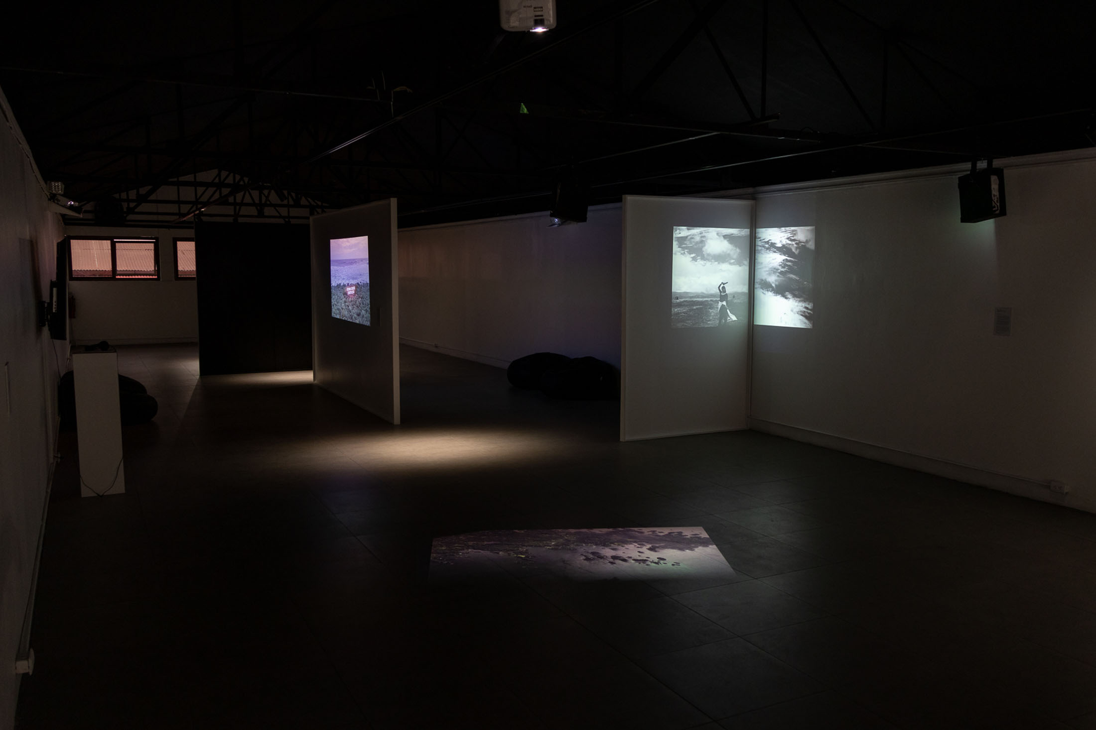 We are seas, rivers, flowers, minerals, volcanoes, mountains, and compost at museum of contemporary art and design of costa rica 17