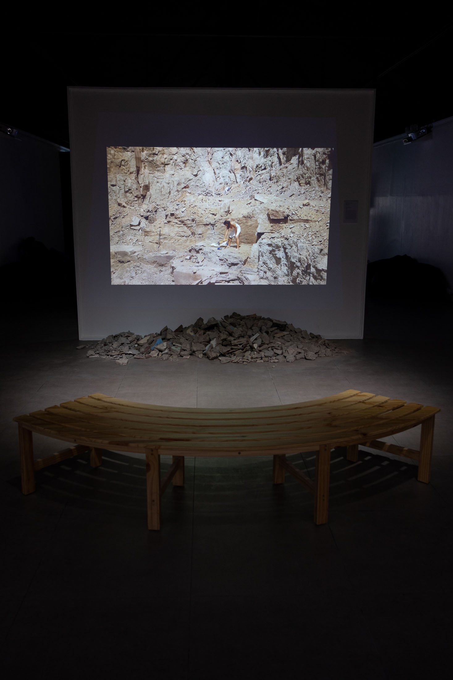 We are seas, rivers, flowers, minerals, volcanoes, mountains, and compost at museum of contemporary art and design of costa rica 18