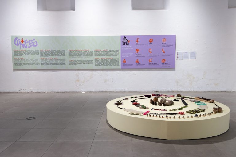 We are seas, rivers, flowers, minerals, volcanoes, mountains, and compost at museum of contemporary art and design of costa rica 2