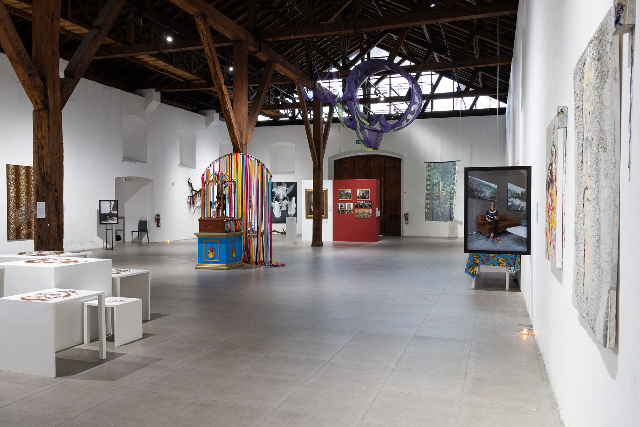 We are seas, rivers, flowers, minerals, volcanoes, mountains, and compost at museum of contemporary art and design of costa rica 6