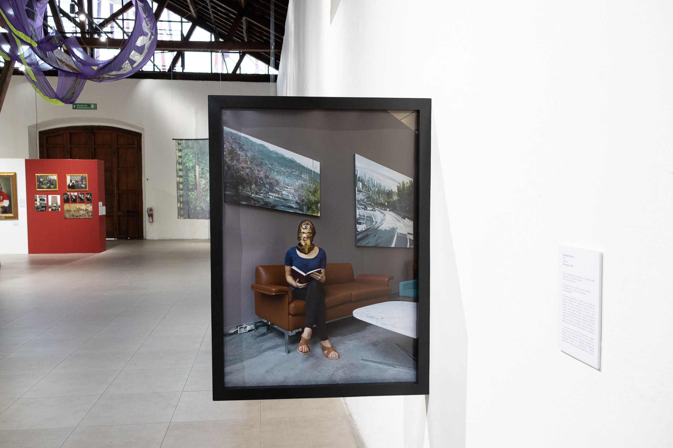 We are seas, rivers, flowers, minerals, volcanoes, mountains, and compost at museum of contemporary art and design of costa rica 7