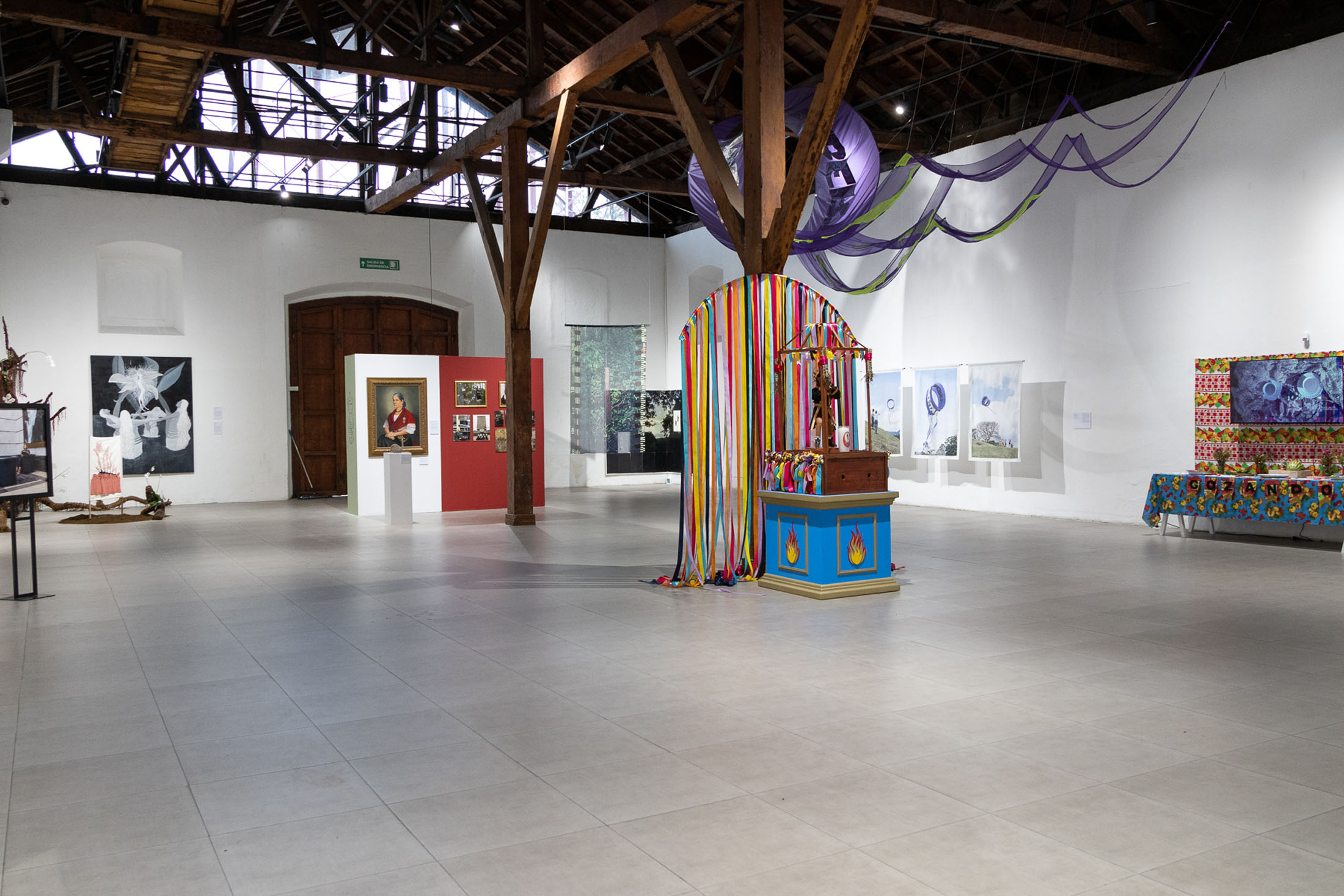 We are seas, rivers, flowers, minerals, volcanoes, mountains, and compost at museum of contemporary art and design of costa rica 8