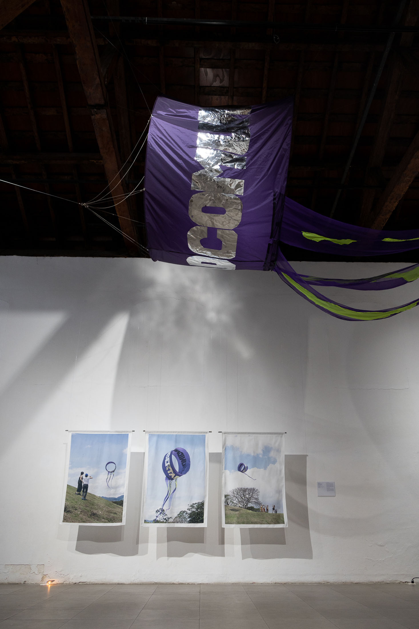 We are seas, rivers, flowers, minerals, volcanoes, mountains, and compost at museum of contemporary art and design of costa rica 9