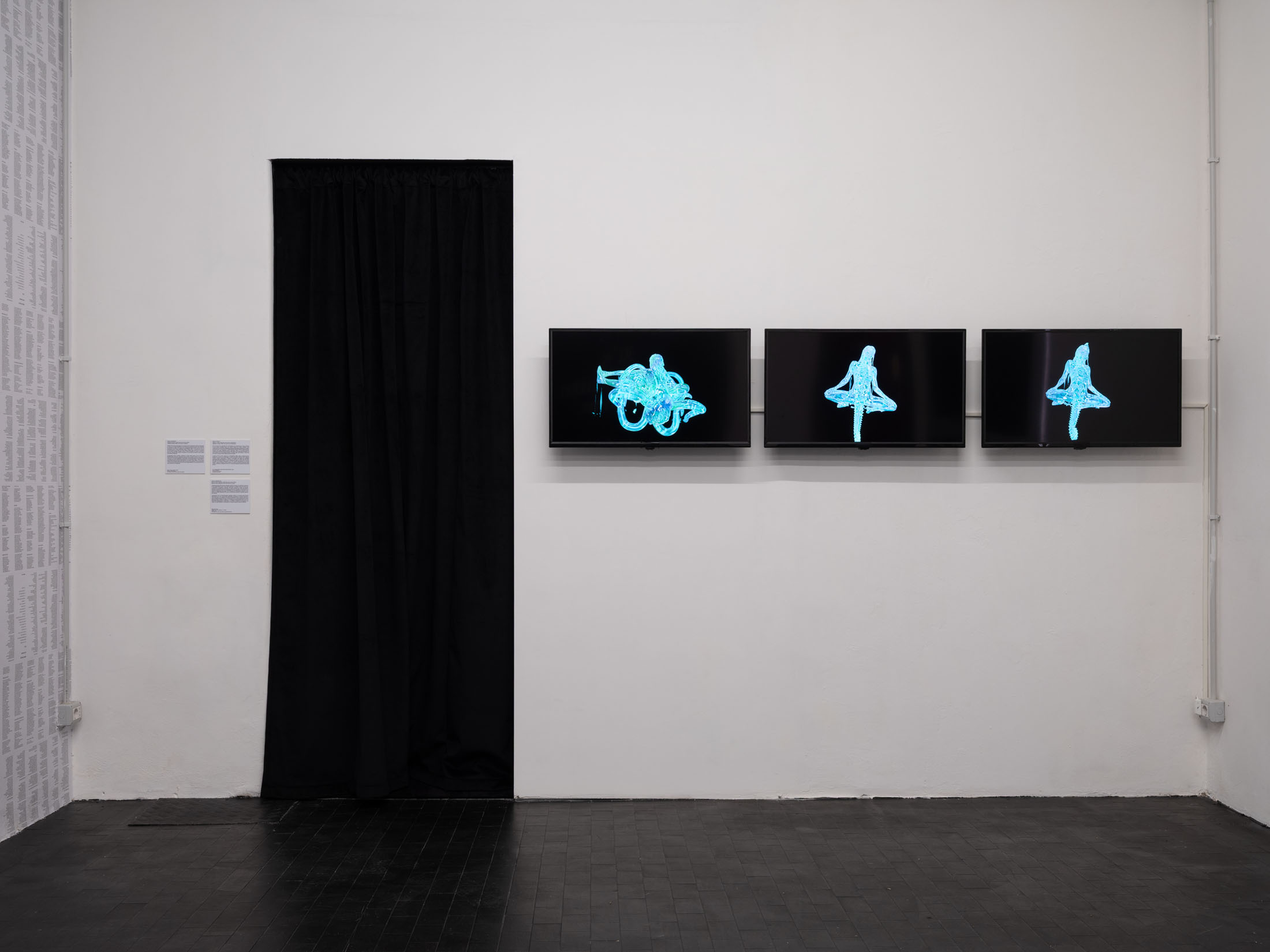 Basement art assembly biennial, issue 00 at basement roma 39