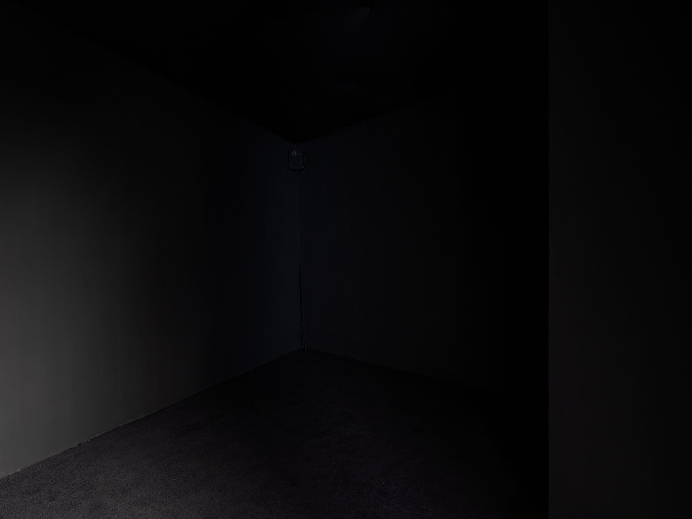 Basement art assembly biennial, issue 00 at basement roma 41