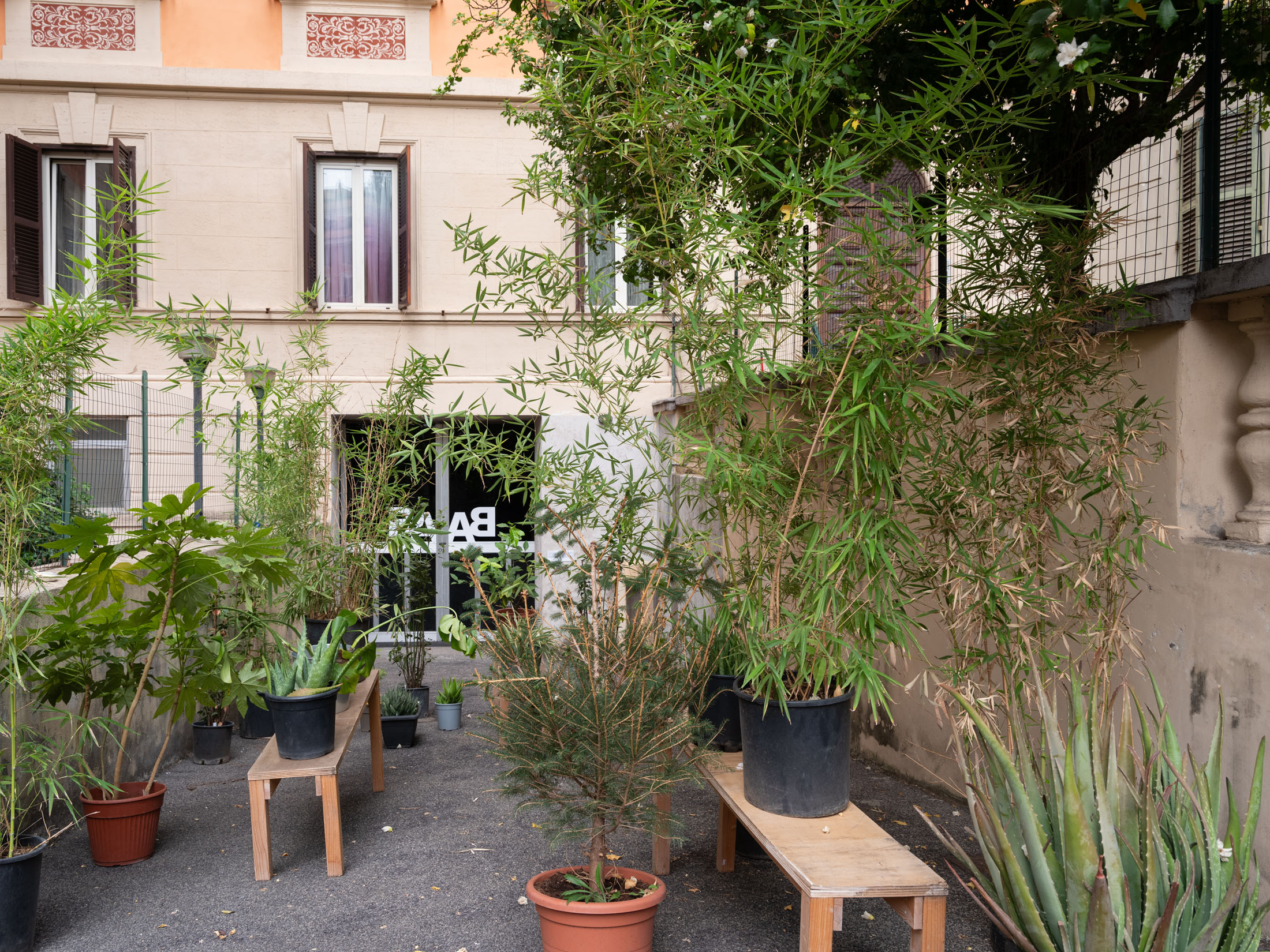 Basement art assembly biennial, issue 00 at basement roma 6