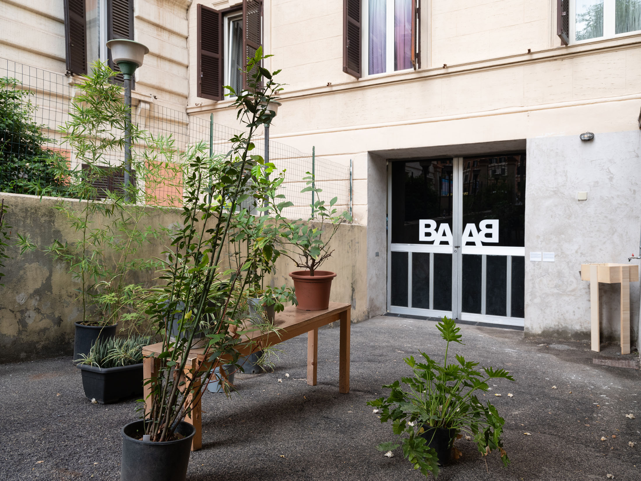 Basement art assembly biennial, issue 00 at basement roma 7