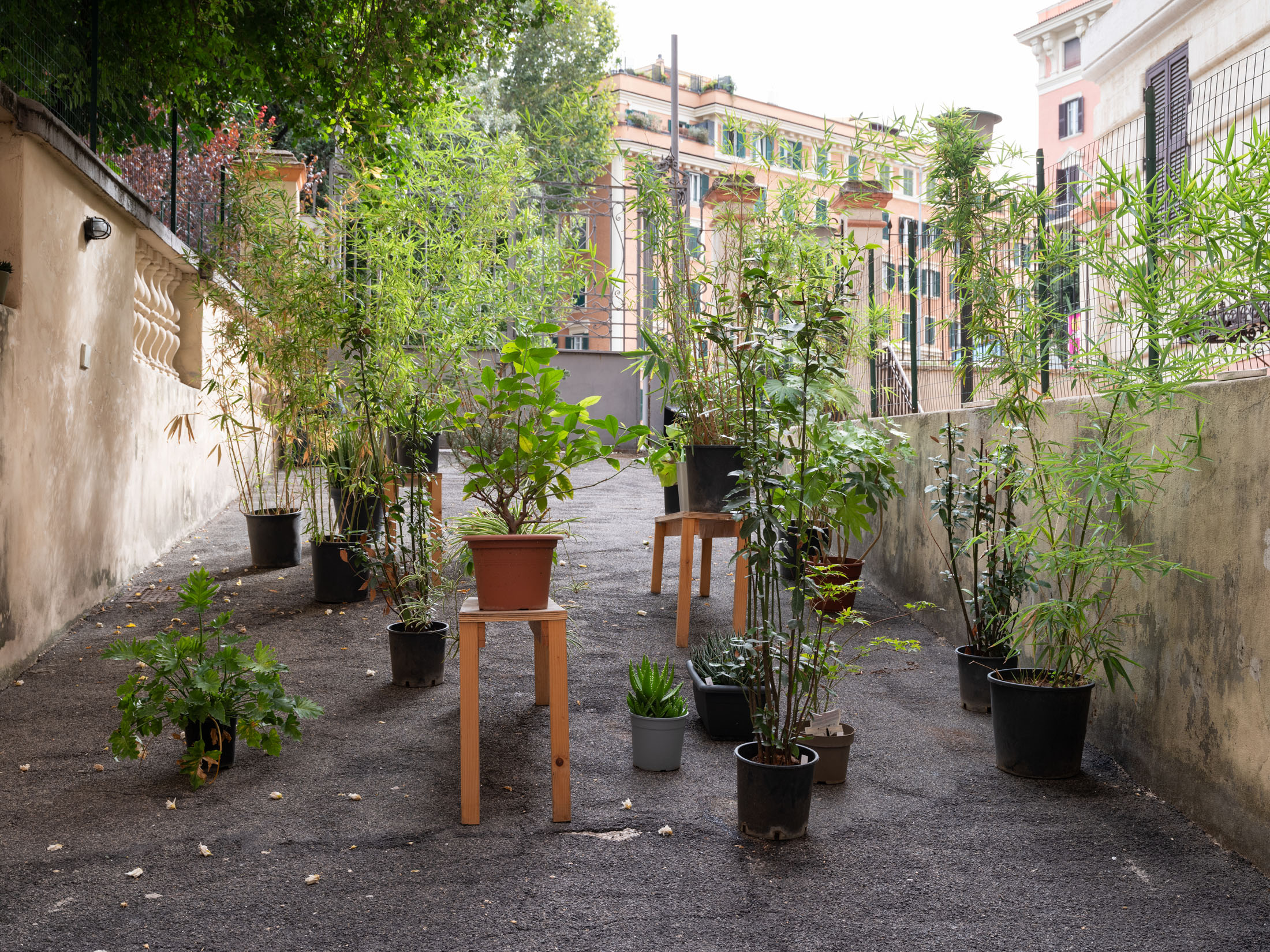 Basement art assembly biennial, issue 00 at basement roma 8