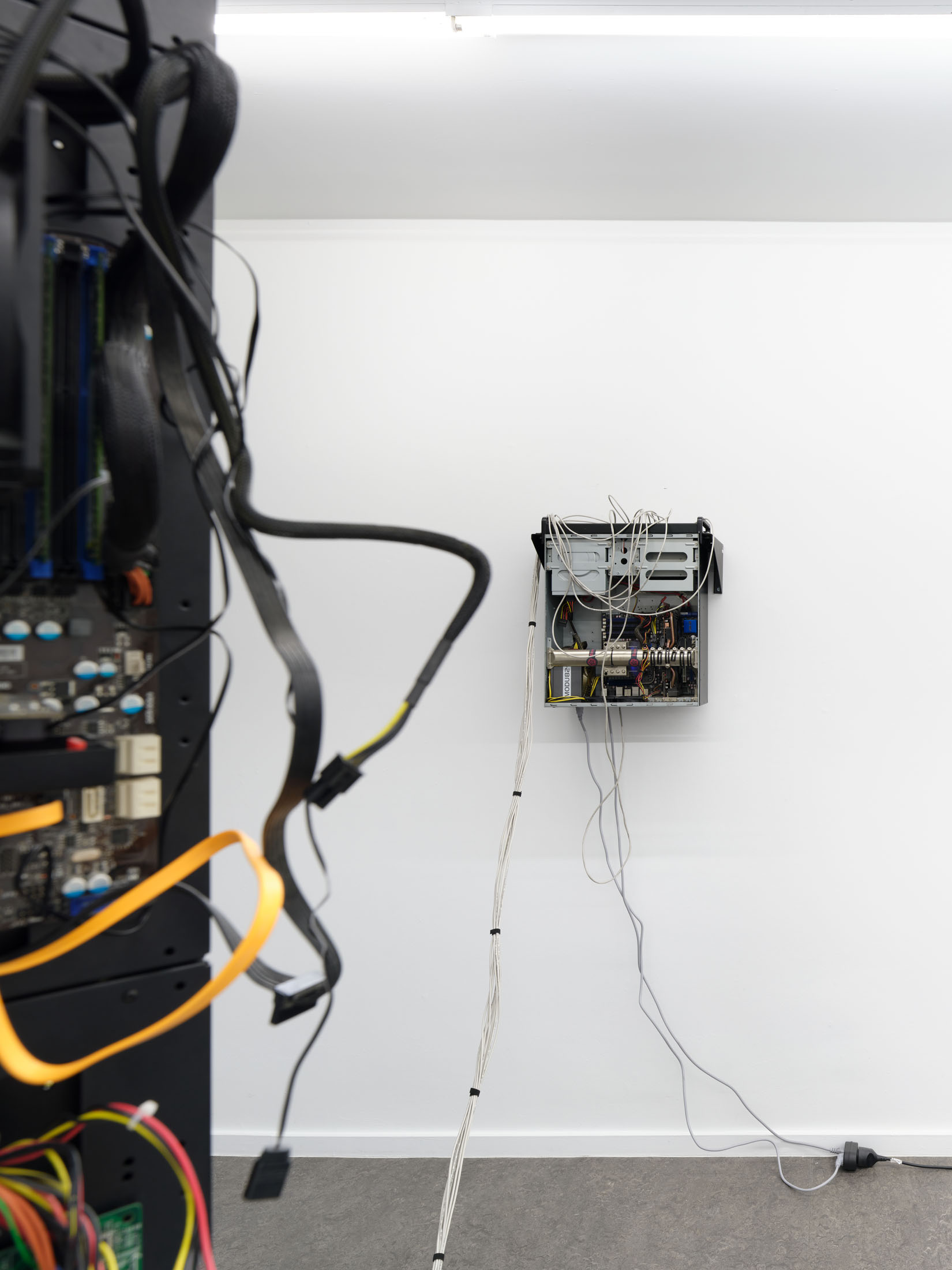 Brennan wojtyla at tick tack, antwerp 6