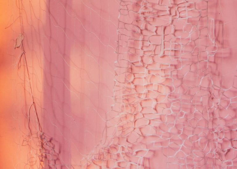 David gilbert at chris sharp gallery, los angeles cover