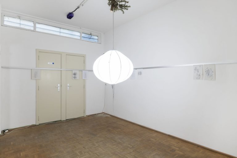 Gregory polony at winona, brussels 2