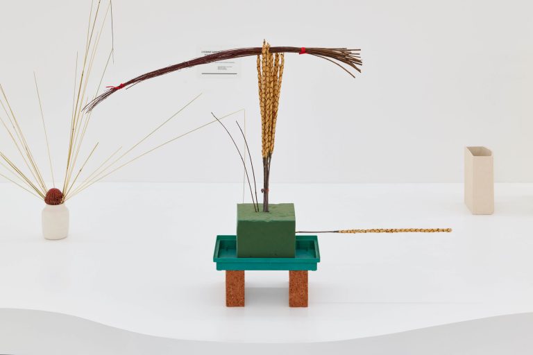 Jardins défiants (defiant gardens) at halle nord, geneva final 4