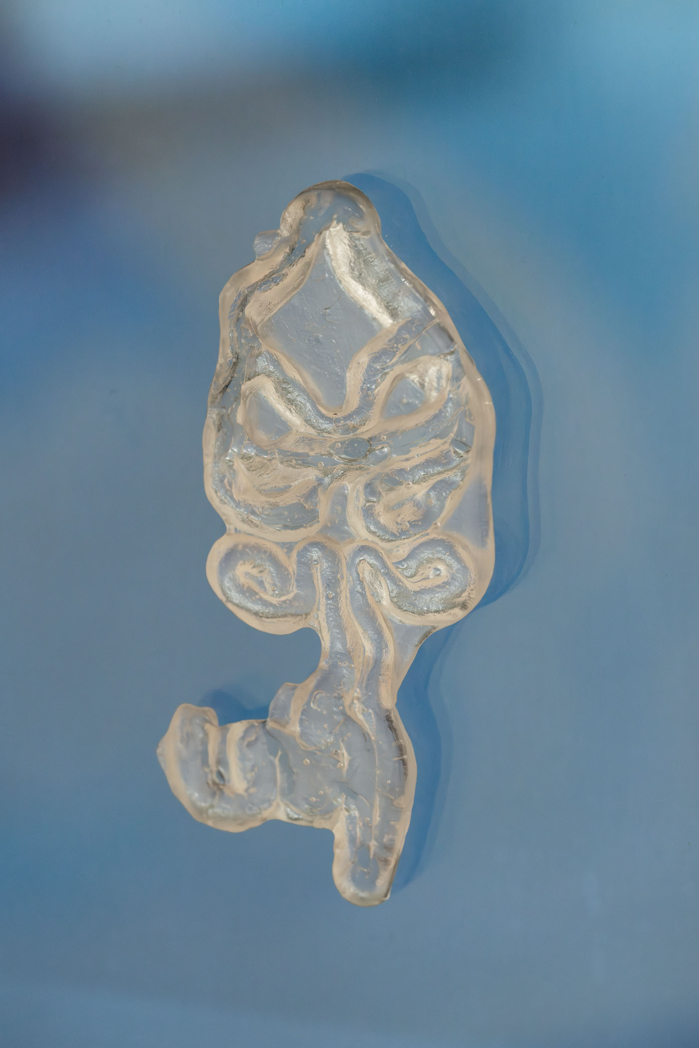 Lucid reverie – panorama of portuguese contemporary art at galeria municipal do porto 20